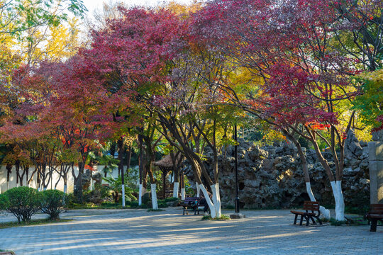 湖州莲花庄公园