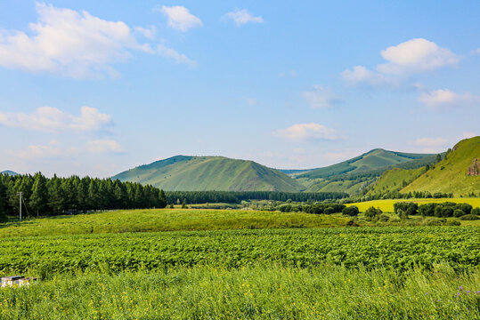 阿尔山