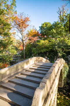 园林庭院