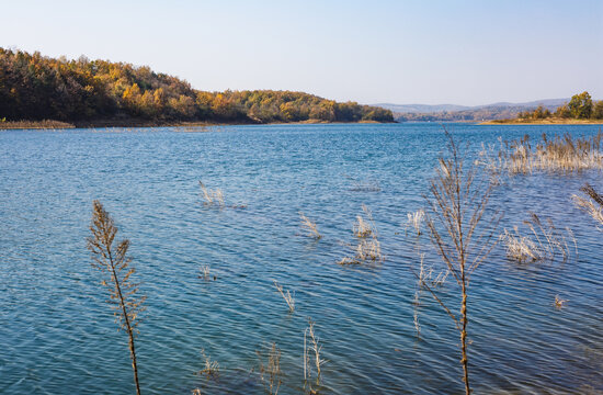 湖泊水库