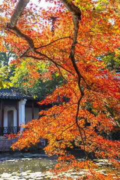 园林风景