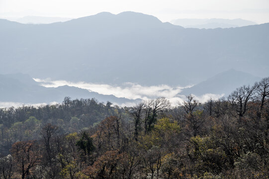 张家界天门山云雾云海