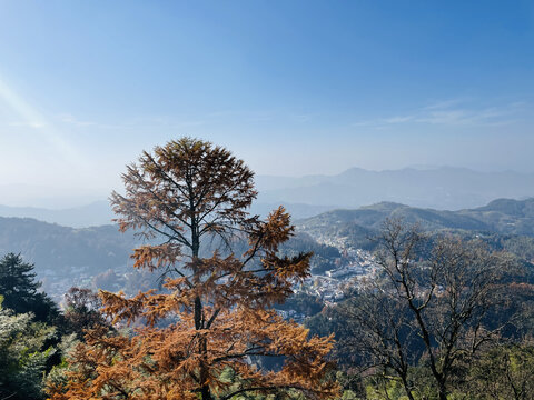 九华山的风景