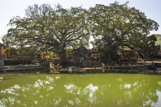 云水谣风景