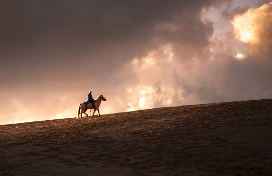 沙漠骑马