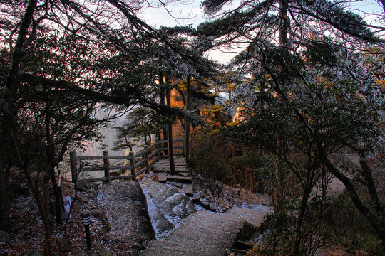 黄山雪淞