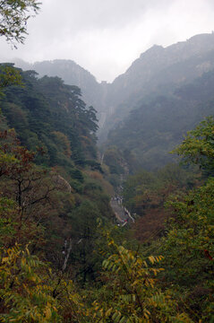 大山风景