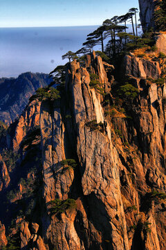 黄山奇石黄山松