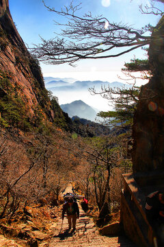 黄山远眺黄山云海