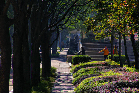 福州大学林荫路