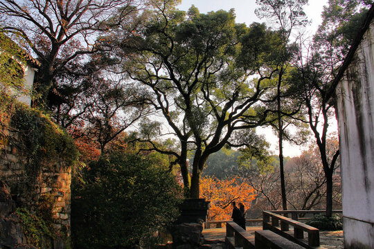 苏州虎丘山公园古典园林