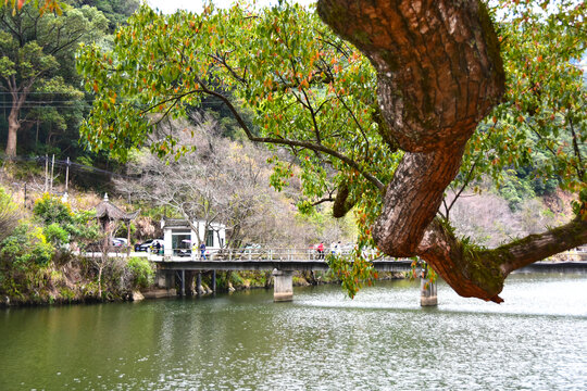 婺源上坦村