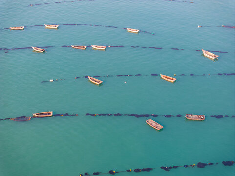 威海荣成青鱼滩海水养殖场