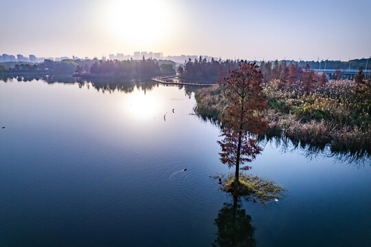 苏州虎丘湿地公园