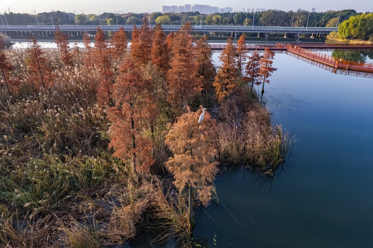 苏州虎丘湿地公园