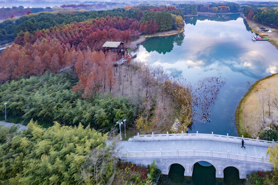 苏州虎丘湿地公园