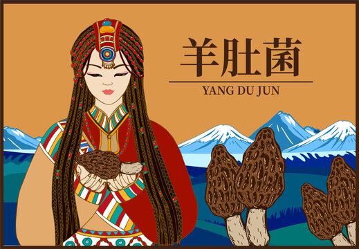 羊肚菌包裝