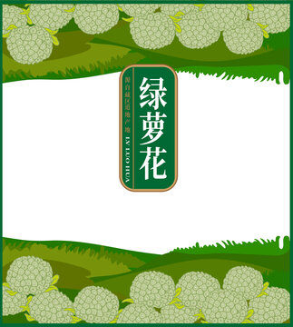 綠蘿花