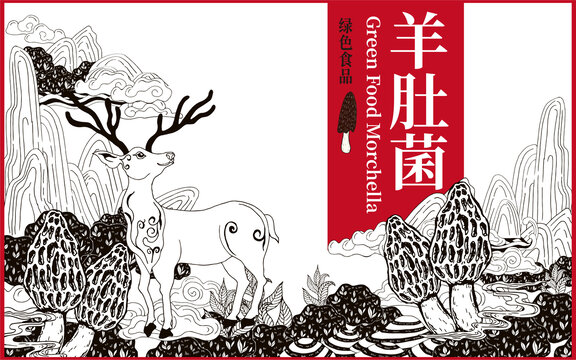 羊肚菌包裝插畫