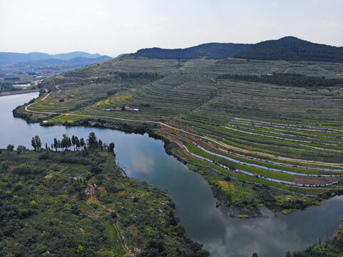 航拍照山后梯田