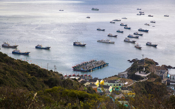 渔船港湾