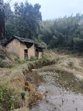 乡村冬季水田