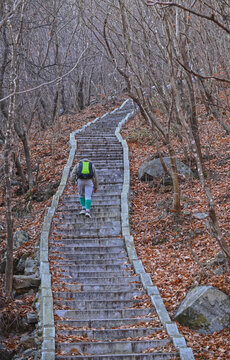 登山