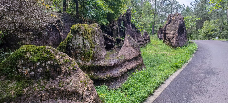 路边石景