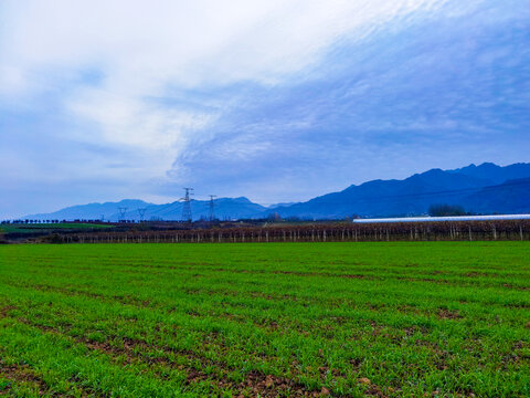 秦岭麦场