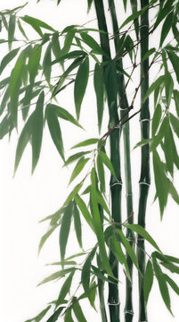 手繪竹子