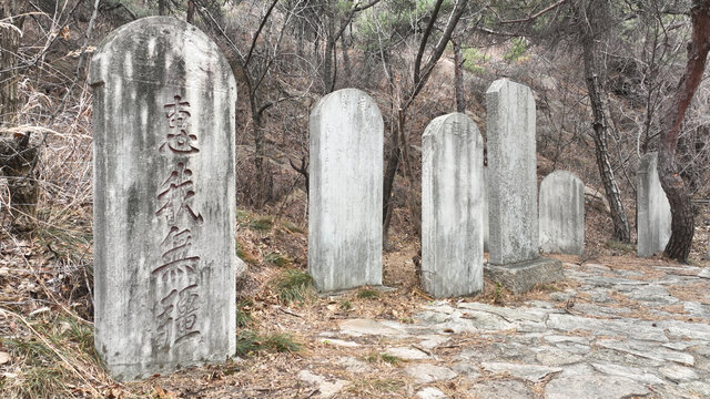 平度大泽山石碑