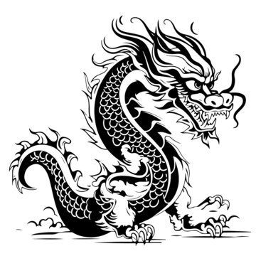 龍