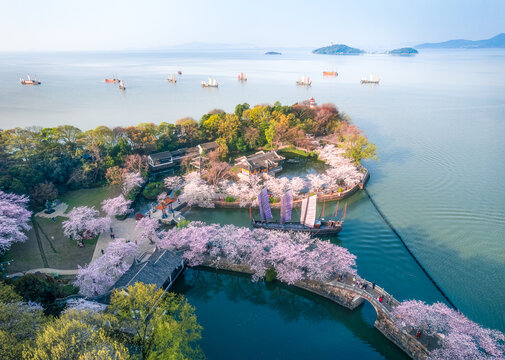 樱花盛开的无锡鼋头渚景区