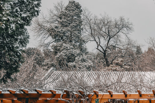 颐和园雪景