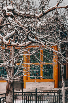 颐和园雪景