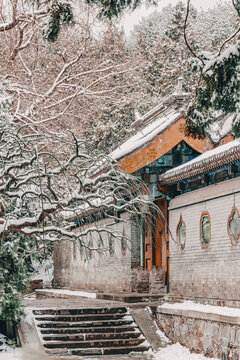 颐和园雪景