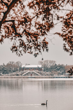 颐和园雪景