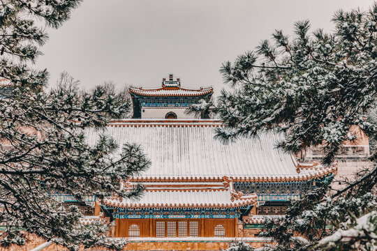 颐和园雪景