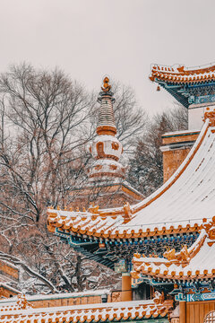 颐和园雪景