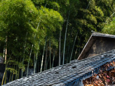 湖北宜昌三峡人家风景区