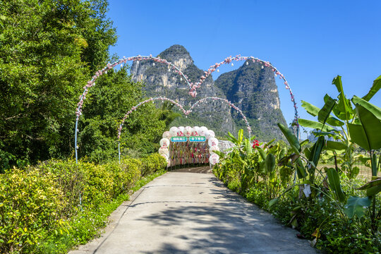 阳朔大榕树景区