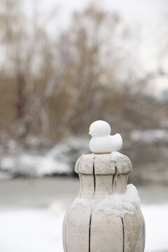 雪景一只小鸭子雪人雪后的湖面