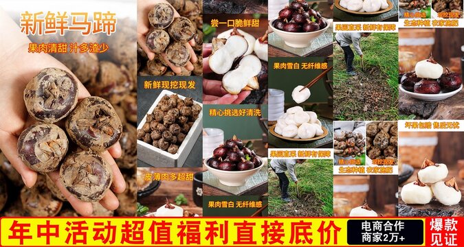 新鮮馬蹄詳情頁(yè)