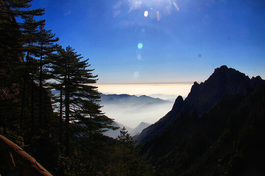 黄山云海黄山松