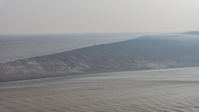 杭州钱塘江湿地滩涂候鸟白鹭