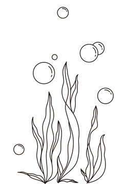 海藻简笔画