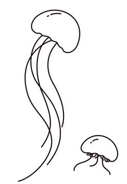 水母簡(jiǎn)筆畫(huà)
