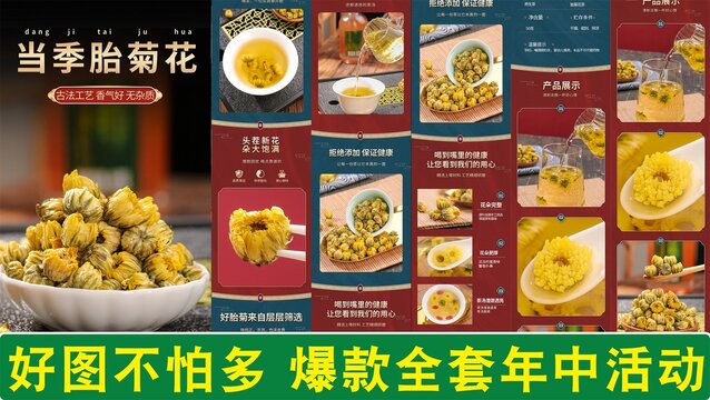 當(dāng)季胎菊詳情