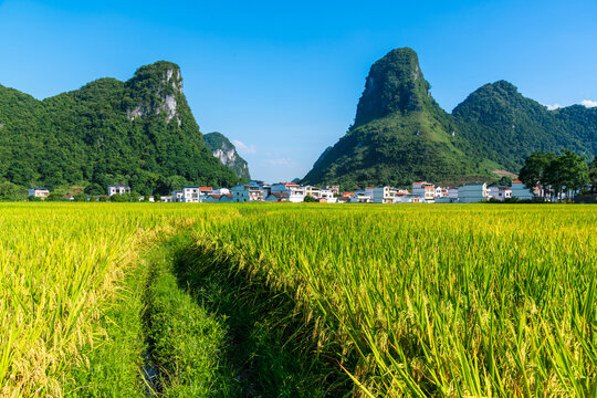 广西乡村田园风光