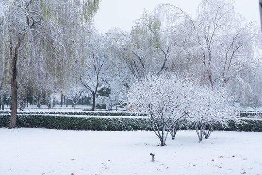 冬季雪景